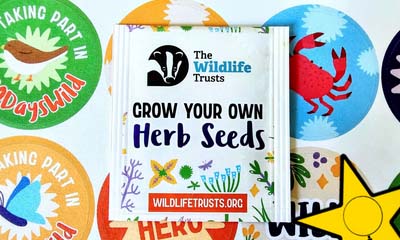 Free Herb Seeds & Posters