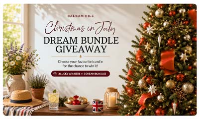 Free Balsam Hill Christmas Decoration Bundle