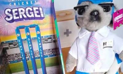 Free Cricket Sergei Toy