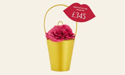 Win a Lulu Guinness Chartreuse Rose Basket Bag